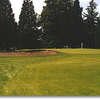 Rose City #1: One fairway bunker on the right about 200 yards out and trees down the left await your first tee shot. The green has one large bunker on the left.
