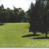 Rose City #4: Your tee shot is downhill with an open fairway to the left and a small group of trees to the right. Your approach shot is to an elevated green. There are no bunkers on this hole. 