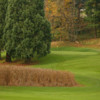 Rose City Golf Course #14: This starts out downhill with a dogleg left about 240 yards out. Dense trees line the left and scattered trees line the right. The green is small and elevated