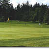 Rose City #17: From the back of the green. A fairway that severely slants left and leads to an another elevated green.