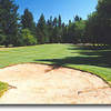 Salem GC #14: A short par 5 with one fairway bunker to the right. As with all other holes, trees line both sides of the fairway so down the middle is the way to go. 