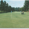 Springwater #8: A relatively easy par-4 with trees on both sides and water to the left.