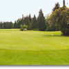 The putting green is well maintained and is good practice for the course. 