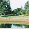 #6: Force carry over water. Couple of pot bunkers on front and left of green. Green is not very deep but fairly wide. Accuracy is very important as left side is guarded by Douglas firs. 