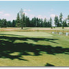 #17: The toughest driving hole. Left and right feature heavy Douglas firs, so accuracy is most important. 2nd shot is intimidating. Hit a middle to long iron to a flat green that sits out in the middle of a pond. There's water on the right and long, so ma
