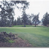 Greens at Redmond #2 (John Vawter)