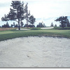 Greens at Redmond #7 (John Vawter)