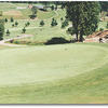 Hole #8: Selecting the correct club is the difficulty on this hole. It's only 105 yards but almost straight up and a creek cuts across the fairway. Too much club will leave you with a down hill chip shot to a green that slants from back to front. Not enou