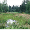 Camas Meadows GC #2