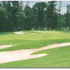 Camas Meadows GC #9