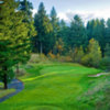 Skamania Lodge #6: Swirling winds can make this deceptively easy looking hole a bear. Club selection is very important, as you'll notice it's quite a drop from the tee. All in all, a shot that lands on the green is really very good!