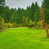 Skamania Lodge #5 - A good target is the large snag guarding the middle of the fairway. (Tell yourself that you hit a good shot if you actually hit the tree!) The landing area is actually quite large, and leaves a short iron approach shot.