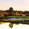 Meadows at Sunriver Resort: View from #18