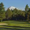 Meadows at Sunriver Resort: View from #16