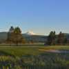 Meadows at Sunriver Resort: View from #18