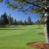 Sunriver Woodlands: View from #4