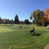 A sunny day view from Oakway Golf Course