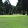 A view of the 1st green at McKenzie River Golf Course