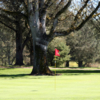 A view of a green at Roseburg Country Club