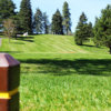 A view of a green at Stewart Park Golf Course