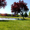 A view over the water from Stewart Park Golf Course