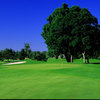 A view of a green with a bunker on the right at Trysting Tree Golf Club.