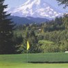 A view of a green at Hood River Golf & Country Club