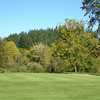 A view of the 17th green at Springfield Country Club