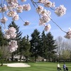 A spring view from Green/Red at Charbonneau Golf Club