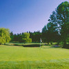 A view of a green at Meriwether National Golf Club