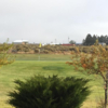 A view of a green at Christmas Valley Golf Course (Steve Potter).