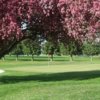 A fresh spring day view of a green at Big River Golf Course.