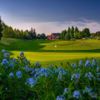 View of a green at Langdon Farms Golf Club