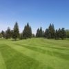 A view from a fairway at Forest Hills Country Club.