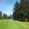 A view from a tee at Eugene Country Club.