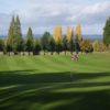 A view of a green at Sunset Grove Golf.