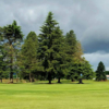 A cloudy day view of a hole at Sunset Grove Golf.