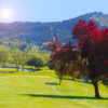 A sunny day view from Oak Hills Golf Club.