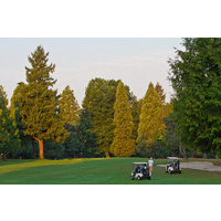 The opening hole at Rose City Golf Course is a par 4 that doglegs slightly left.