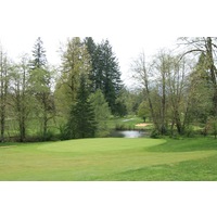 The third hole on the Pine Cone Nine features a green down by the river. 