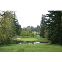 The fourth hole on the Pine Cone Nine is a 168-yard par 3. 