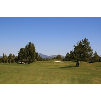 A juniper guards the front right side of the second green on the Challenge Course at Eagle Crest Resort in Redmond, Oregon. 